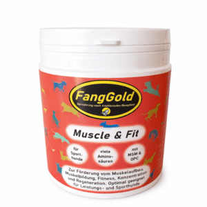 Muscle & Fit 400 g