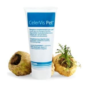CelerVis NEW Energiepaste 100 g