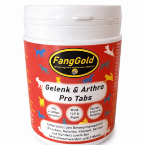 FangGold Gelenk & Arthro Pro Tabs 250 Stück / 500g