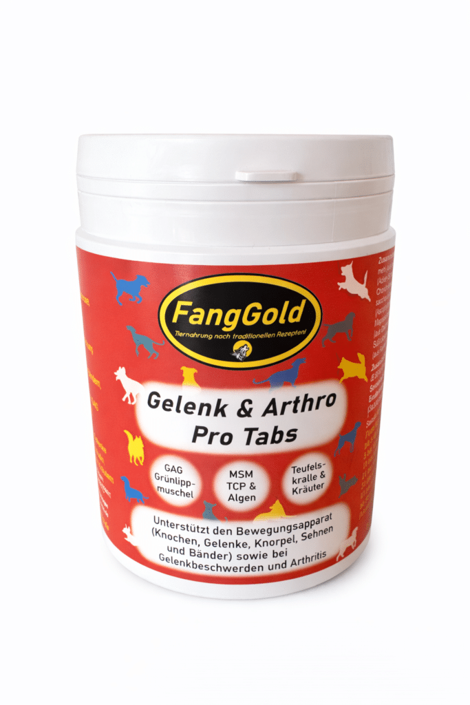 FangGold Gelenk & Arthro Pro Tabs 250 Stück / 500g