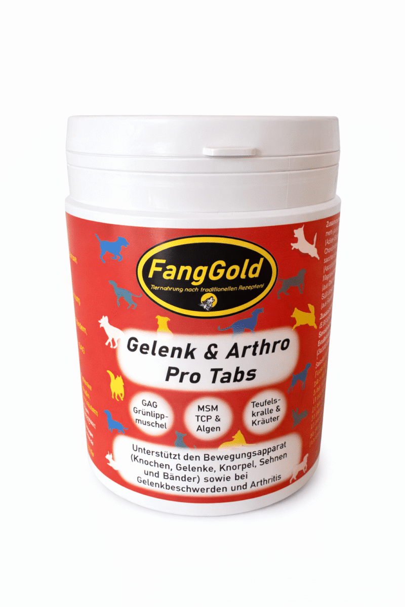 FangGold Gelenk & Arthro Pro Tabs 250 Stück / 500g