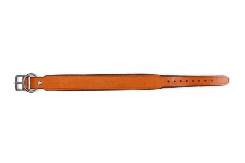 Premium Lederhalsband mit personalisierter Laser Gravur