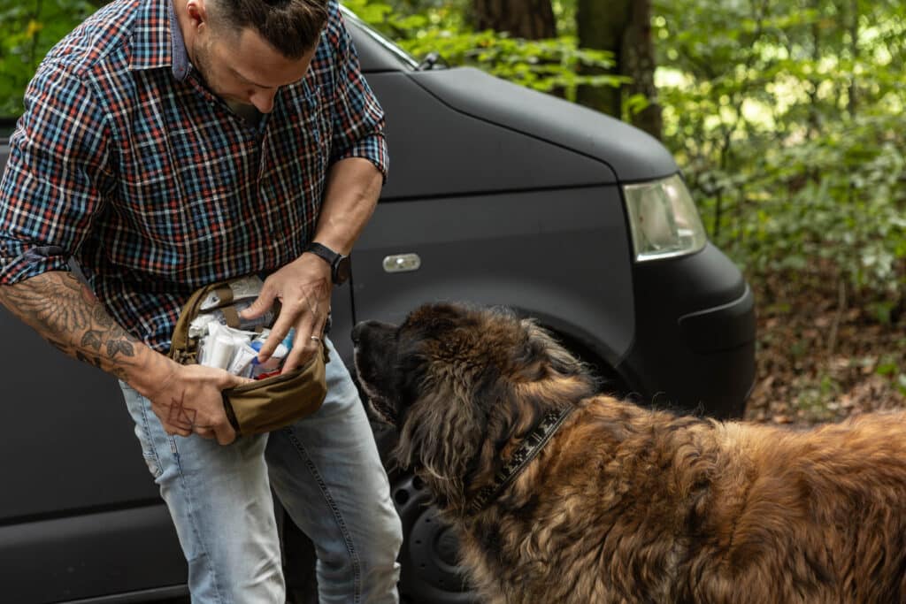 erste-hilfe-hund-fitzkas.dog